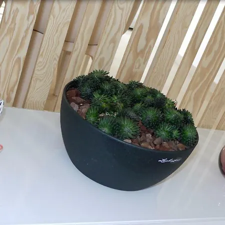 Apartment αelia 1